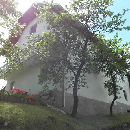 Pr' Hribar Appartement Zgornje Gorje Buitenkant foto