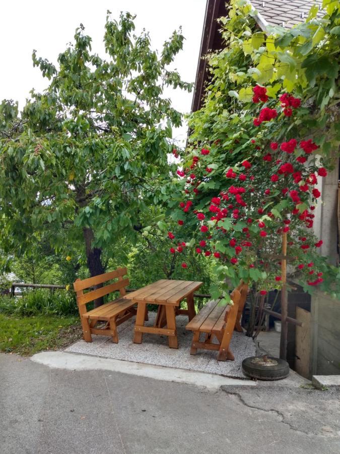 Pr' Hribar Appartement Zgornje Gorje Buitenkant foto