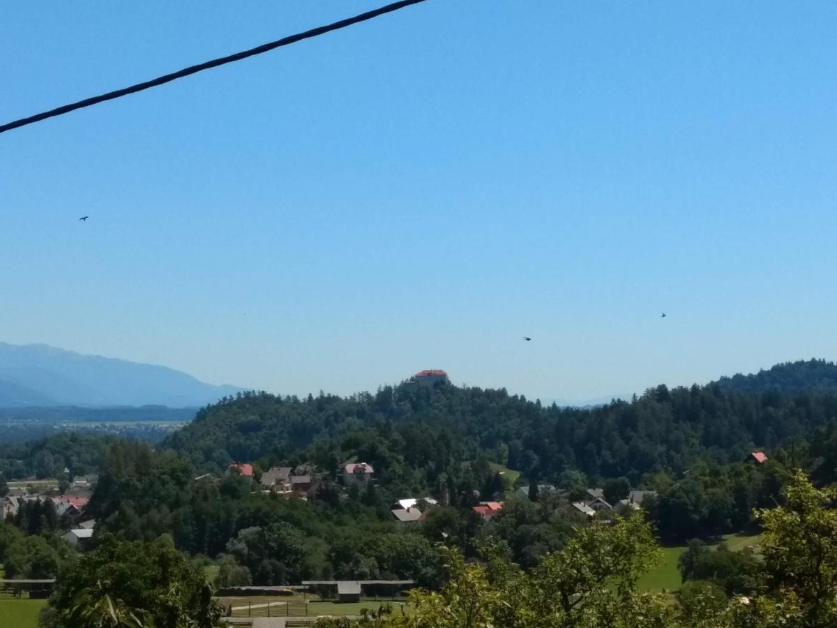 Pr' Hribar Appartement Zgornje Gorje Buitenkant foto