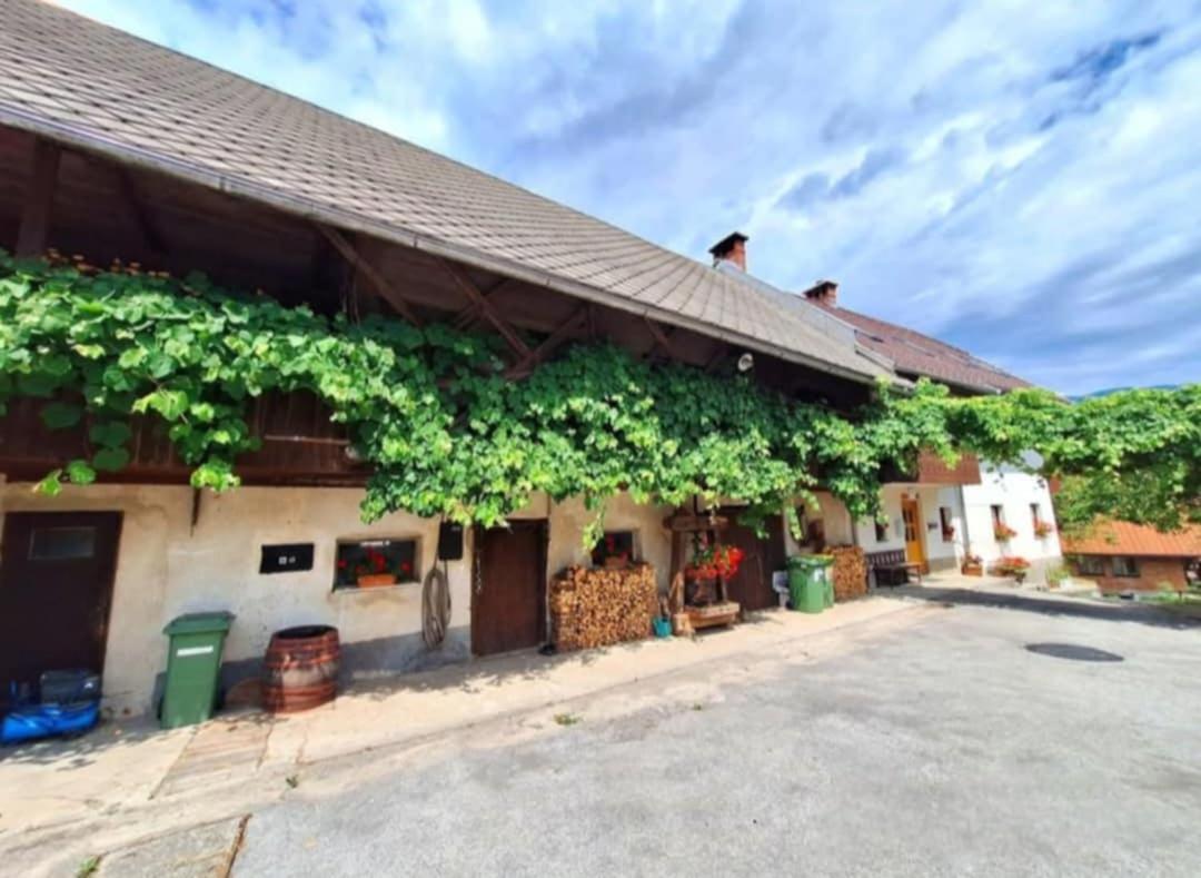 Pr' Hribar Appartement Zgornje Gorje Buitenkant foto