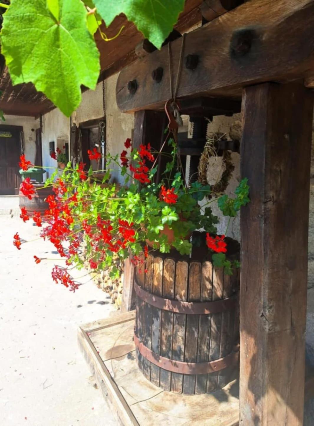 Pr' Hribar Appartement Zgornje Gorje Buitenkant foto
