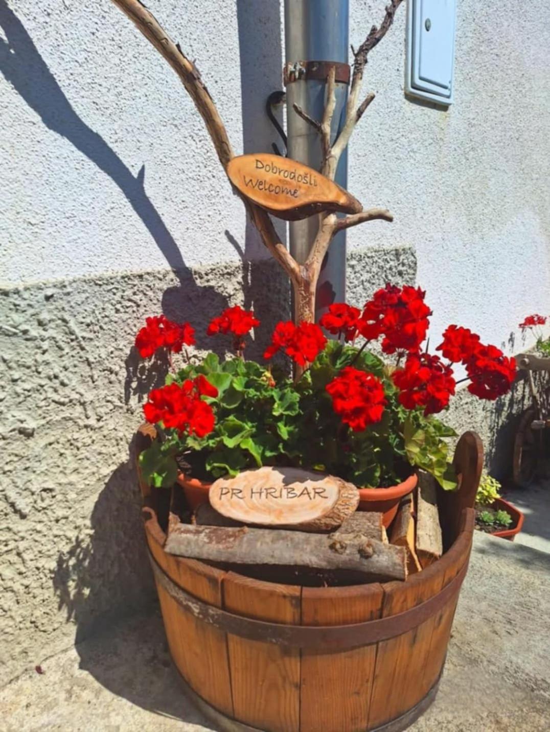Pr' Hribar Appartement Zgornje Gorje Buitenkant foto