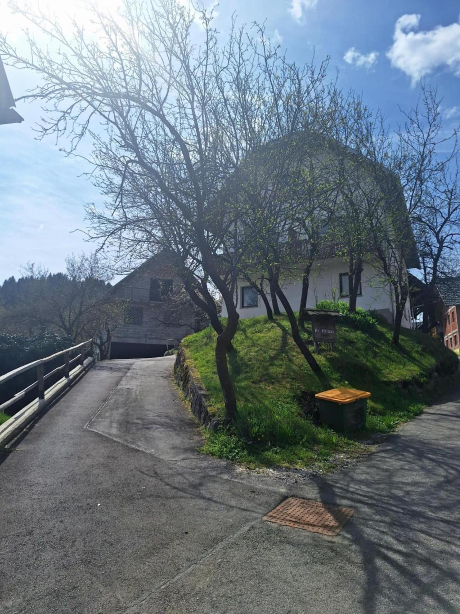 Pr' Hribar Appartement Zgornje Gorje Buitenkant foto