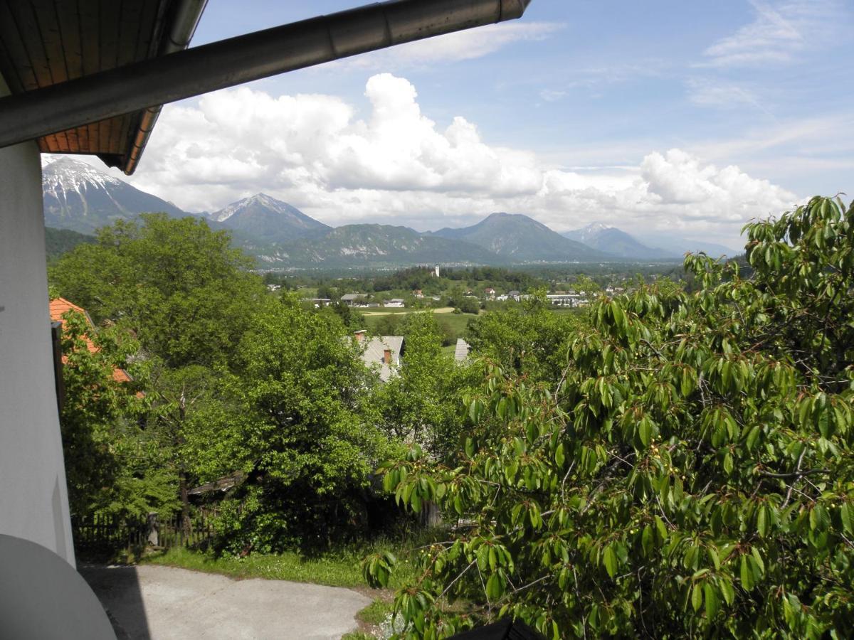 Pr' Hribar Appartement Zgornje Gorje Buitenkant foto
