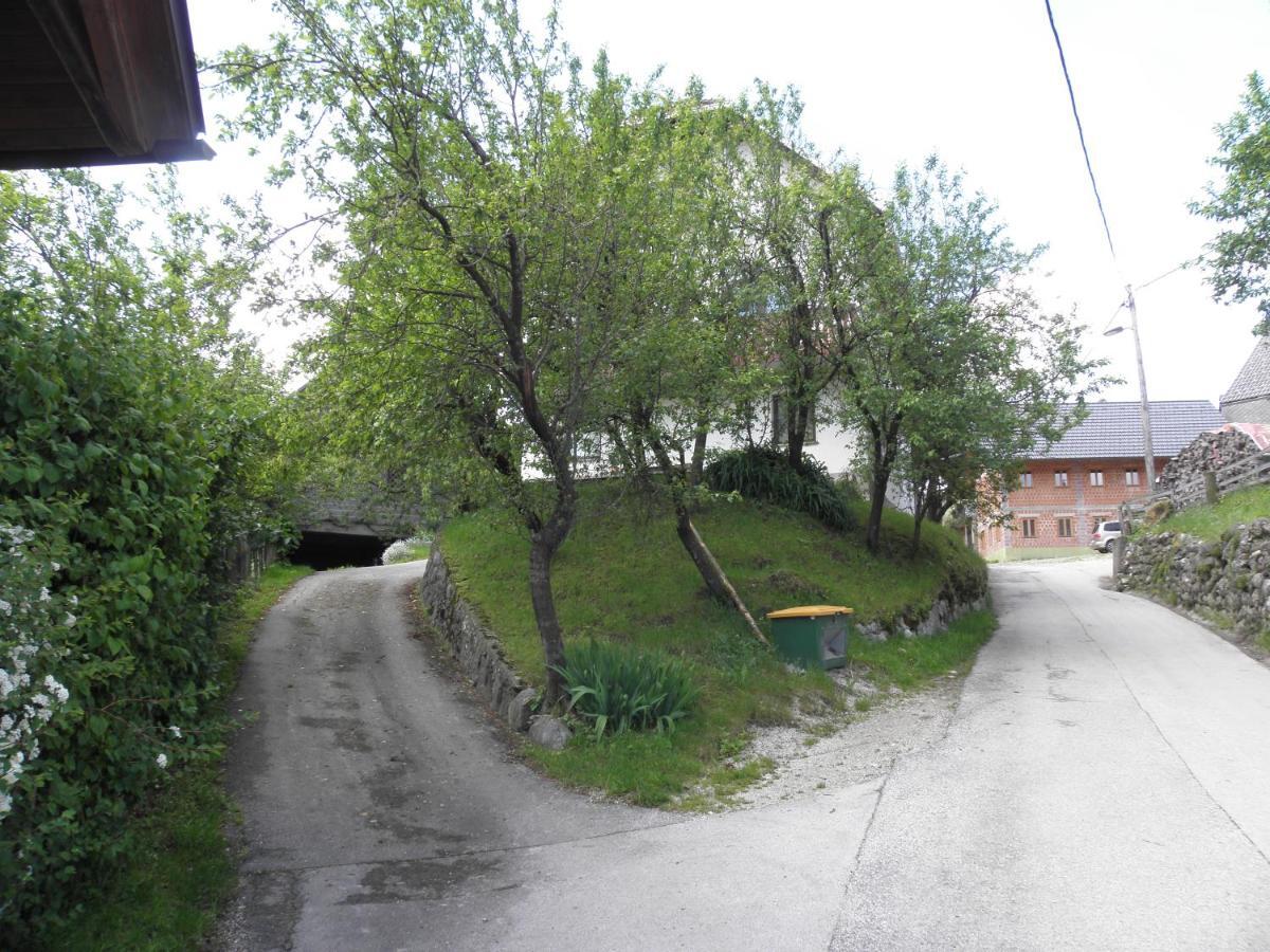 Pr' Hribar Appartement Zgornje Gorje Buitenkant foto